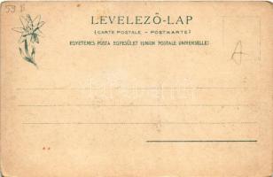 Tátralomnic, Tatranská Lomnica (Magas-Tátra, Vysoké Tatry); Die evang. Kirche m. d. Lomnitzer und Sc...