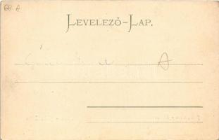 Felka, Velka (Tátra, Tatry); utca. Stengel &amp; Co. 8954. / street (EK)