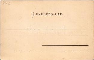 Kovácspatak, Kovacov; Otthon villa. Kardos Dezső kiadása / hotel villa (EK)