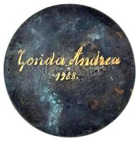 1988. "Fazola Henrik Általános Iskola" egyoldalas, öntött bronz emlékérem, hátoldalán névr...