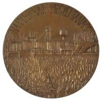 Váró Márton (1943-) 1980 k. "Hajdú-Bihar Megyei Tanács - Közösségi munkáért" bronz emlékérem (99mm) T:AU