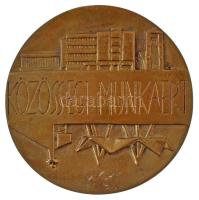 Váró Márton (1943-) 1980 k. "Hajdú-Bihar Megyei Tanács - Közösségi munkáért" bronz emlékér...