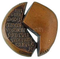 Bors István (1938-2003) 1982. "Magyar ideg és elmeorvosok Tiszántúli tagozatának szakülése - Kaposvár 1982" egyoldalas bronz plakett (88-92mm) T:AU