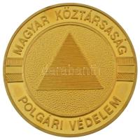 1995. A "Magyar Köztársaság Légoltalmi Ligájának 60. évfordulója" aranyozott tombak emléké...