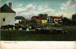 Hortobágy, Tanya, magyar folklór. D.T.C., L. Ser. 271. 2. (gyűrődések / creases)