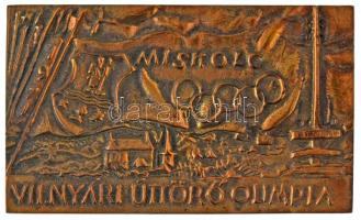 1971. "VII. Nyári Úttörő Olimpia - Miskolc" egyoldalas bronz emlékplakett (73x120,5mm) T:AU, patina