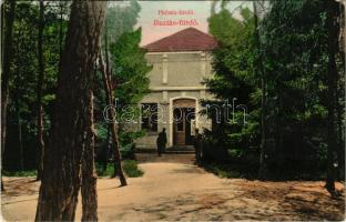 Buziásfürdő, Baile Buzias; Phönix fürdő. Heksch Manó kiadása / spa (EB)