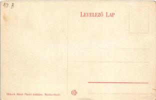 Buziásfürdő, Baile Buzias; Phönix fürdő. Heksch Manó kiadása / spa (EB)