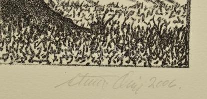 Olvashatatlan jelzéssel: Öreg fa XI., 2006. Litográfia, papír. 7/20 számozással. 28x21 cm