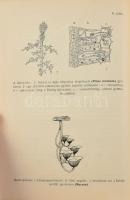 Bohus Gábor - Kalmár Zoltán - Ubrizsy Gábor: Magyarország kalaposgombáinak meghatározó kézikönyve. B...