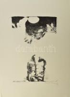 Olvashatatlan jelzéssel, feltehetően román művész: Metamorfózis. Litográfia, papír. II/IV számozással. 40,5x29,5 cm