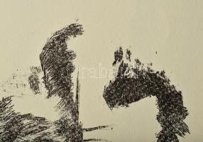 Olvashatatlan jelzéssel, feltehetően román művész: Metamorfózis. Litográfia, papír. II/IV számozássa...