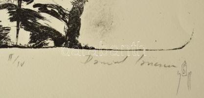 Olvashatatlan jelzéssel, feltehetően román művész: Metamorfózis. Litográfia, papír. II/IV számozássa...