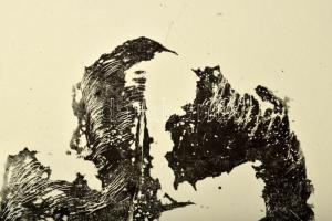 Olvashatatlan jelzéssel, feltehetően román művész: Metamorfózis. Litográfia, papír. III/IV számozáss...