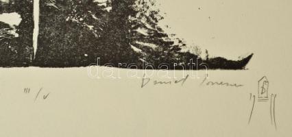 Olvashatatlan jelzéssel, feltehetően román művész: Metamorfózis. Litográfia, papír. III/IV számozáss...