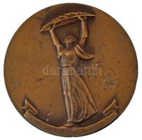 1975. "Szabadság-szobor / Pártmunkáért 1945-1975 MSZMP Heves megyei Bizottsága" kétoldalas, bronz emlékérem a hátoldalán gravírozással (70mm) T:XF,VF, patina