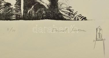 Olvashatatlan jelzéssel, feltehetően román művész: Metamorfózis. Litográfia, papír. II/III számozáss...