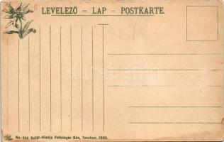 Lőcse, Levoca; Városháza, tanácsterem, belső. Feitzinger Ede No. 955. 1905. / Rathaus, Sitzungssaal ...