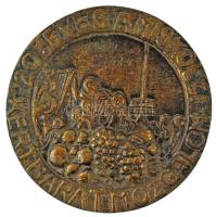 DN "20 éves a Miskolci Kertbarát Mozgalom / Alkotó együttműködésért" kétoldalas, öntött bronz emlékérem, névre szóló gravírozással a hátoldalán (88mm) T:AU,XF, patina