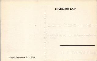 Hídverés a Száván / Brückenschlag an der Save / WWI Austro-Hungarian K.u.K. military, bridge buildin...