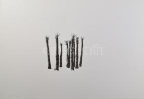 Heather Allen (-): Kilenc fa (9 trees), 2005. Litográfia, papír. 2/12 számozással. 19x19 cm
