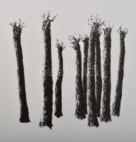 Heather Allen (-): Kilenc fa (9 trees), 2005. Litográfia, papír. 2/12 számozással. 19x19 cm