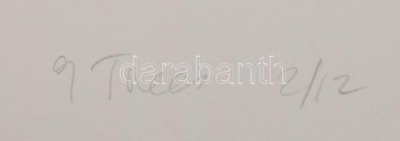 Heather Allen (-): Kilenc fa (9 trees), 2005. Litográfia, papír. 2/12 számozással. 19x19 cm