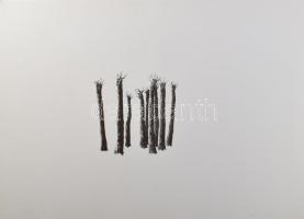 Heather Allen (-): Kilenc fa (9 trees), 2005. Litográfia, papír. 1/12 számozással. 19x19 cm