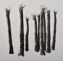Heather Allen (-): Kilenc fa (9 trees), 2005. Litográfia, papír. 1/12 számozással. 19x19 cm