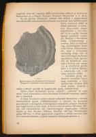Beliczay László: A méz ipari feldolgozása. Mézes sütemények. Bp., 1960, Műszaki. Kiadói papírkötés, ...