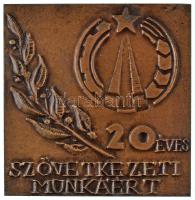DN "20 éves Szövetkezeti Munkáért" egyoldalas, öntött bronz emlékplakett (101,5x104mm) T:AU