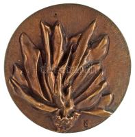 Kiss László (1949-) DN "A KISZ kiváló propagandistája" kétoldalas bronz emlékplakett (86,5mm) T:AU, patina