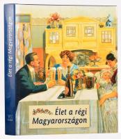 Gyurgyák János, Környei Anikó, Saly Noémi (szerk.): Élet a régi Magyarországon. Bp., 2004. Osiris. 360p. Gazdag képanyaggal illusztrált, sok korabeli reklám, plakát stb. reprodukciójával. Kiadó kartonált papírkötés, kiadói papír védőborítóval. Szép állapot