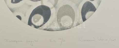 Kovács Valéria (1960-): Fabospora fragilis, 2003. Litográfia, papír, jelzett. Művészpéldány E.A. IV....