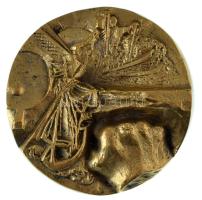 DN "Justitia - 30 év" kétoldalas, öntött bronz emlékplakett (99mm) T:AU