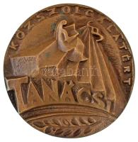 Pincés Puder István (1907- ?) 1969. "Tanácsi Közszolgálatért" egyoldalas, öntött bronz emlékplakett (98mm) T:AU, patina