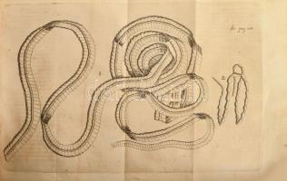 Daniel Sennertus: Practicae Medicinae Liber II-III.
Liber Secundus [II.]: De Athritide Tractatus. P...