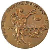 Kiss Sándor (1925-1999) 1974. "Hortobágyi Nemzetközi Lovasnapok 1974" egyoldalas, öntött bronz emlékplakett (87mm) T:AU