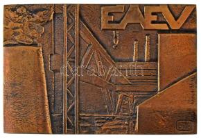 DN Észak-magyarországi Állami Építőipari Vállalat "ÉÁÉV" egyoldalas, öntött bronz plakett. Szign.: "SZP" (83,5x123mm) T:AU