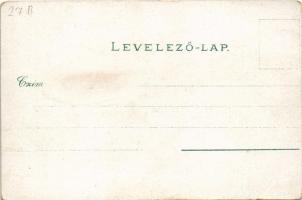 Győr, Rába híd, karmelita templom. Berecz Viktor kiadása (EB)