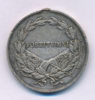 1917. "Károly Ezüst Vitézségi Érem II. osztálya" peremén jelzett Ag kitüntetés mellszalag ...