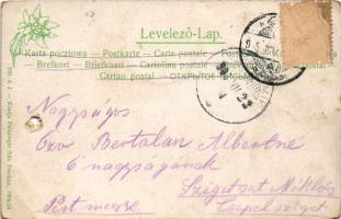 1905 Igló, Zipser Neudorf, Spisská Nová Ves; Redoute, színház, katolikus plébániatemplom és faipari ...