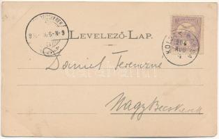 1900 Hidegszamos, Somesu Rece (Kolozsvár mellett / near Cluj); Részlet a Hideg-Szamos völgyéből, Som...