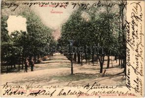 1902 Kassa, Kosice; Széchenyi liget fősétánya. Breitner Mór kiadása / park (felületi sérülés / surface damage)