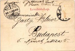 1902 Kassa, Kosice; Széchenyi liget fősétánya. Breitner Mór kiadása / park (felületi sérülés / surfa...