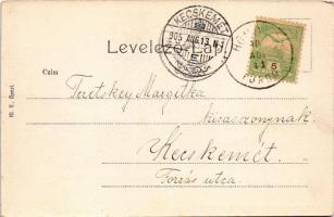 1905 Homoródfürdő, Homoród-fürdő, Baile Homorod; fürdő. Dragomán S. J. kiadása / spa (EK)