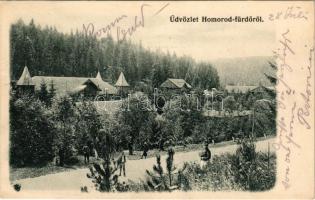 1902 Homoródfürdő, Homoród-fürdő, Baile Homorod; fürdő. F. B. Göhler kiadása / spa
