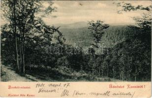 1901 Kassa, Kosice; Bankói részlet, út. Nyulászi Béla kiadása / spa, road in Bankov (EB)