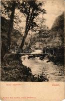 Kassa, Kosice; Bankói erdőrészlet. Nyulászi Béla kiadása / forest in Bankov (EM)