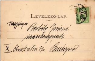 1910 Kassa, Kosice; Lajos forrás. Nyulászi Béla kiadása / mineral water spring